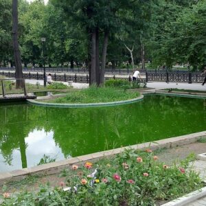 Парк культуры и отдыха 