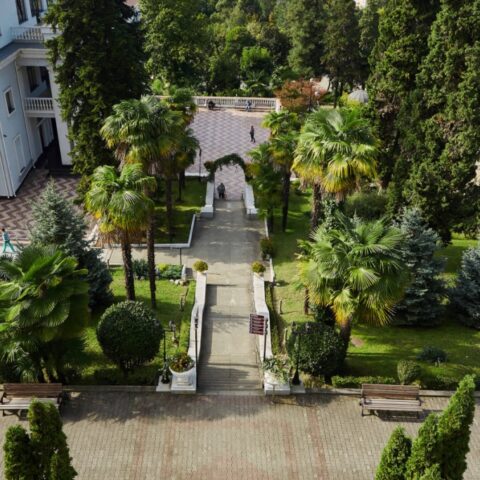 Парковая территория